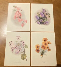 Set n° 4 Stampe Vintage "Fiori" Grafiche Tasgotti,Cartoncino,Ottime Condizioni