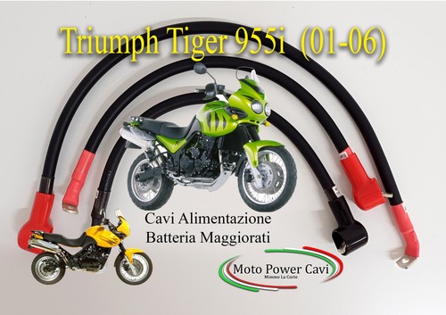 Triumph tiger 955i - , (01-06