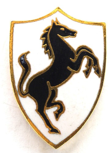 Fregio militare smaltato - fregio,