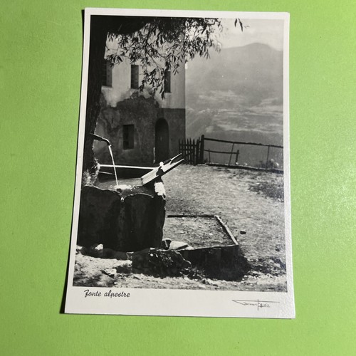 Fonte alpestre cartolina - fonte,