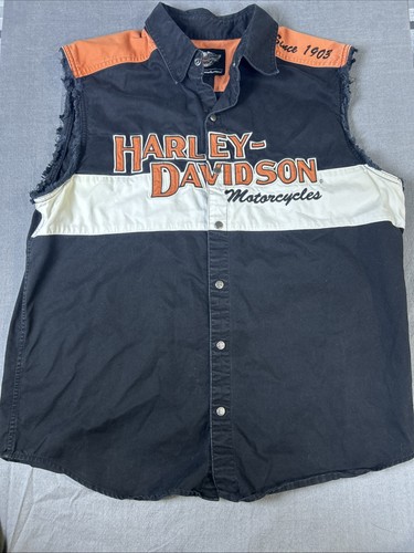 Harley davidson blowout - davidson,