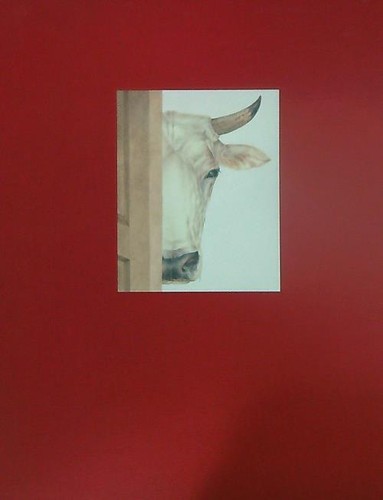 Fattoria degli animali - la,