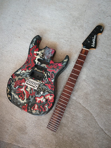 Washburn series diy - x,