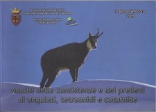 Analisi delle consistenze e