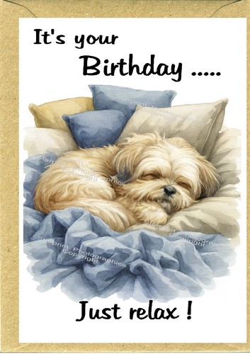 Biglietto compleanno lhasa - biglietto,