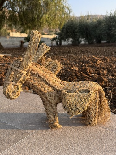 Asinello asino somarello - asinello,