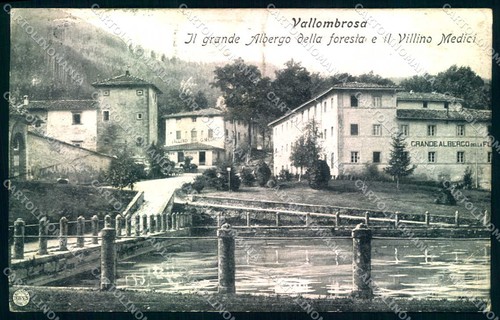 Firenze vallombrosa grande - firenze,