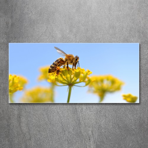 Quadro immagine arte - da, parete