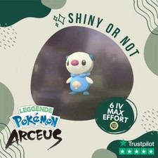 Oshawott Shiny ✨ Legends