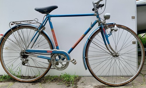 Bicicletta bottecchia - bicicletta,