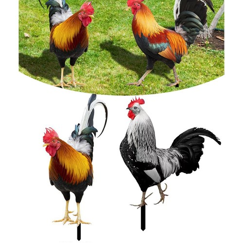 Splendide decorazioni pollo - decorazioni,
