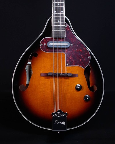 Ibanez m510e mandolino - ibanez,