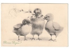 1914 antica cartolina