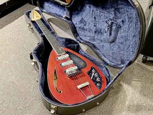 Chitarra elettrica acustica