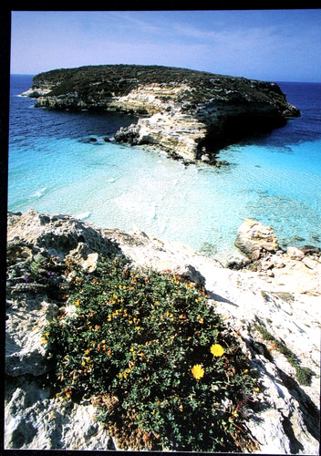 Cartolina sensazioni - cartolina.,