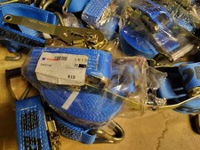 Cinghia a cricchetto Datacol Lunghezza 9,5 metri Nastro ancoraggio