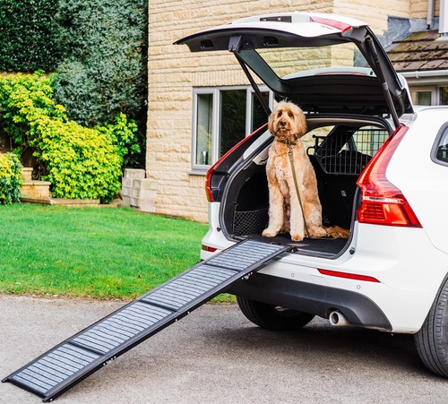 Rampe per cani auto - cani, pet