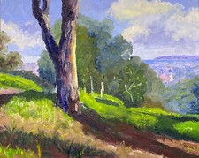 Splendido dipinto ad olio originale. Firmato. Arte impressionista scena di San Diego