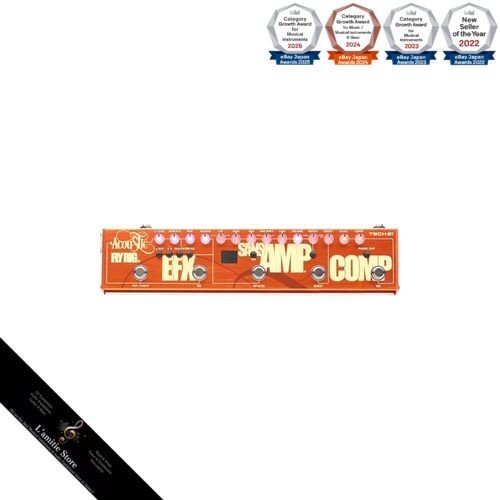 Tech21 acoustic fly rig - fly,