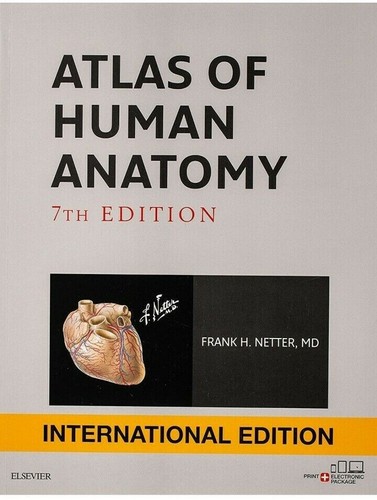 Atlante anatomia umana di - di,