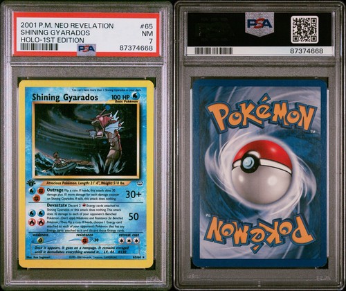 Pokemon shining gyarados - shining, 1