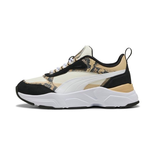 Puma cassia snake - puma,