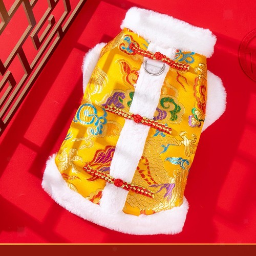 Costume per capodanno - costume, cinese