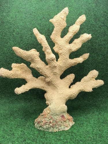 Grande scultura finto - , corallo