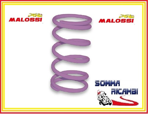 Molla contrasto viola - di,