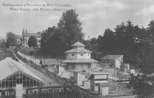 Morges riond bosson 52861 - bosson,