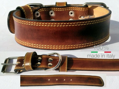 Offerta collare per cane - collare,