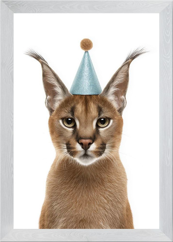 Caracal gatto con - gatto, cappello