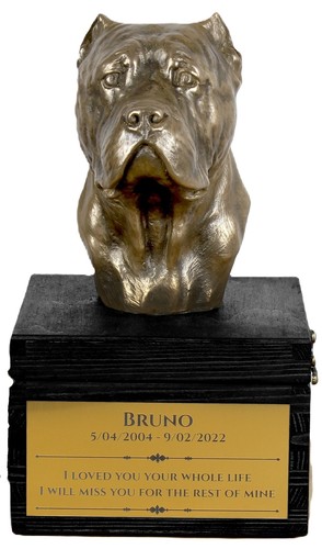 Cane corso urne sulla scatola - cane,