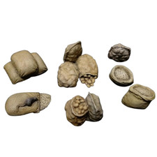 Set Alimentare 1/35 Accessorio