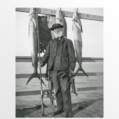 Pescatore altura vintage - pescatore,