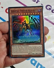 IMMORTAL TERRESTRIAL ASLLA
