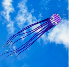 X-Kites Giant 3-D Air Foil