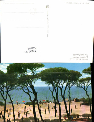 549659 italy cecina mare - cecina,