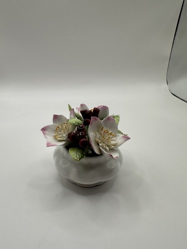 Royal albert serie - royal,