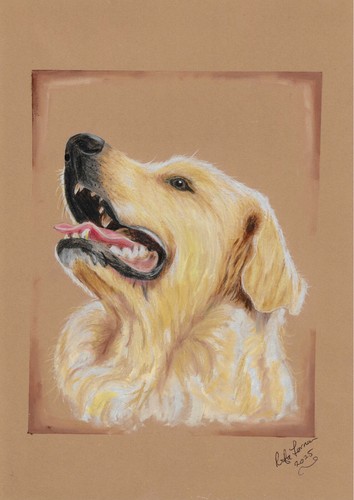 Ritratto realistico labrador - realistico,