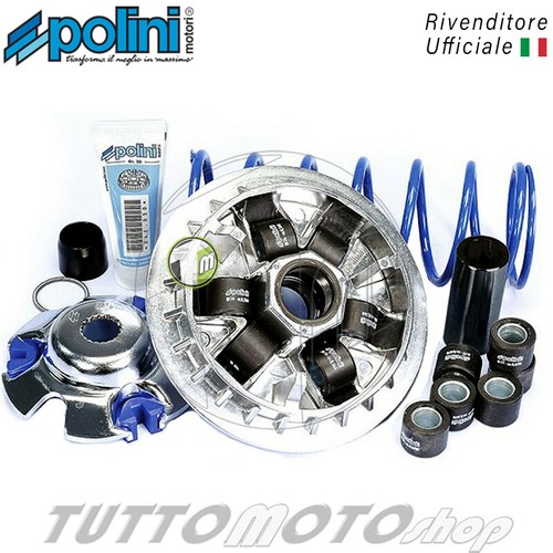 Variatore polini 241 703 - variatore,