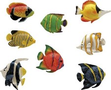 Calamite "Pesci" in Resina Set