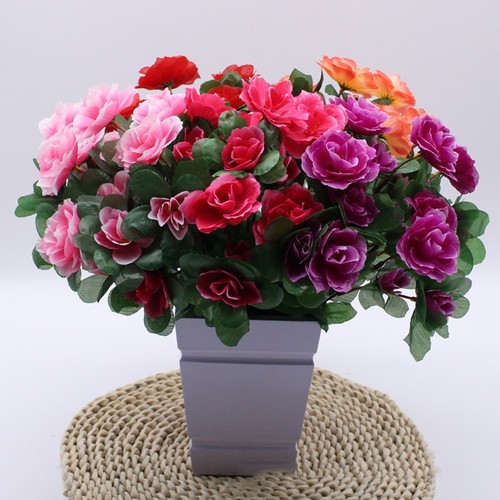 Piccolo fiore azalea - piccolo,