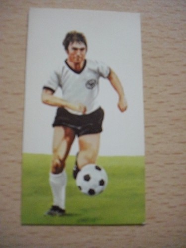 Scheda calcio golden - scheda,