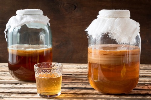 Kombucha starter bio - bio, con