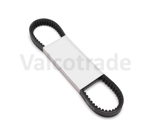 Cinghia trasmissione variatore - trasmissione,