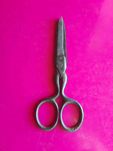 Forbice forbicetta piccola - forbicetta,
