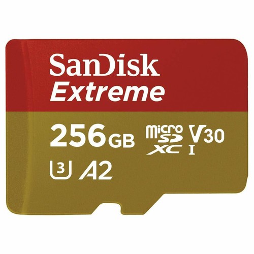 Scheda memoria sandisk - memoria,