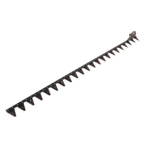 Faie vogel noot coltello - vogel,