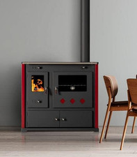 Stufa a Legna Con Piastra